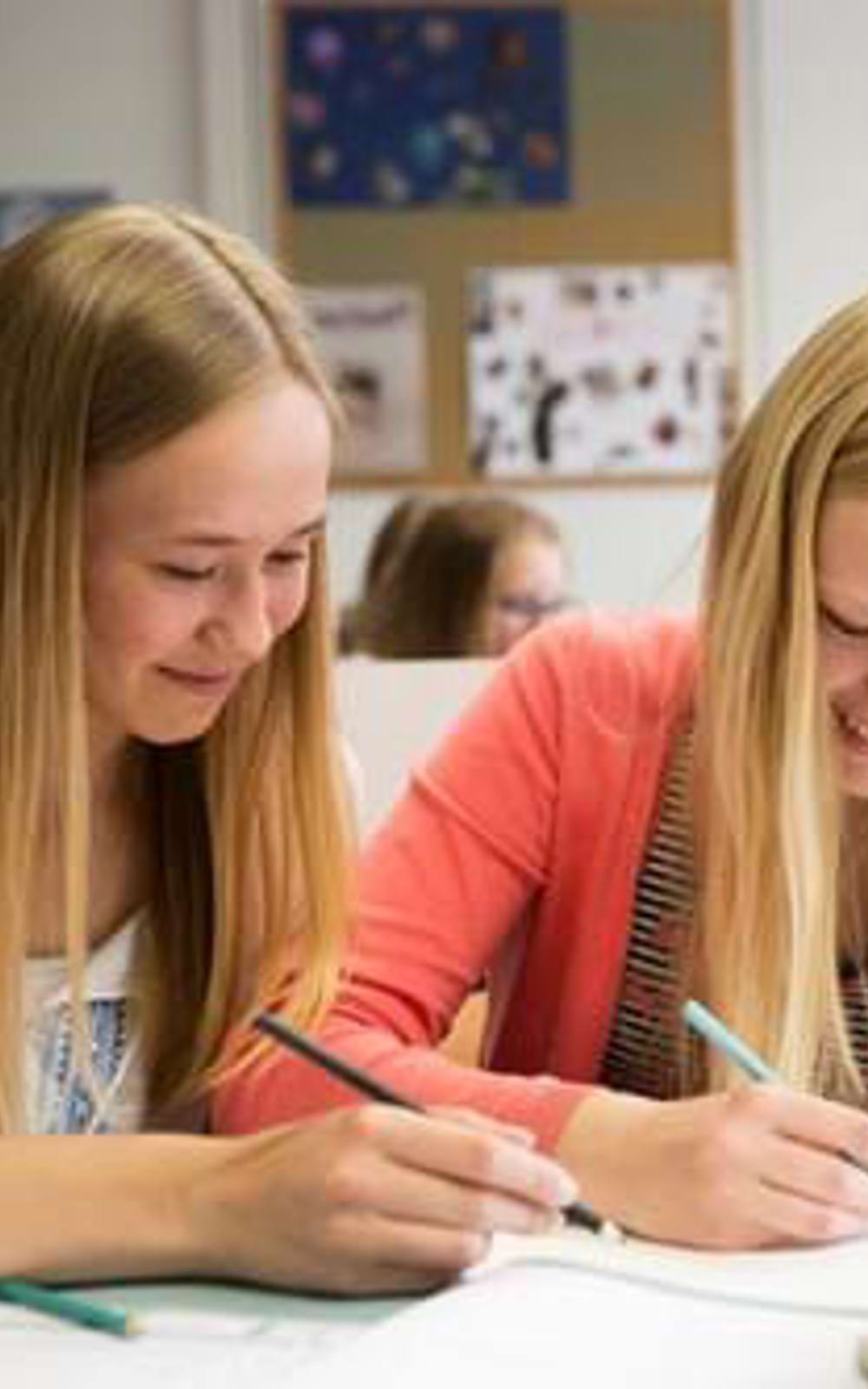 Aangepast Ichtus College Dronten 068